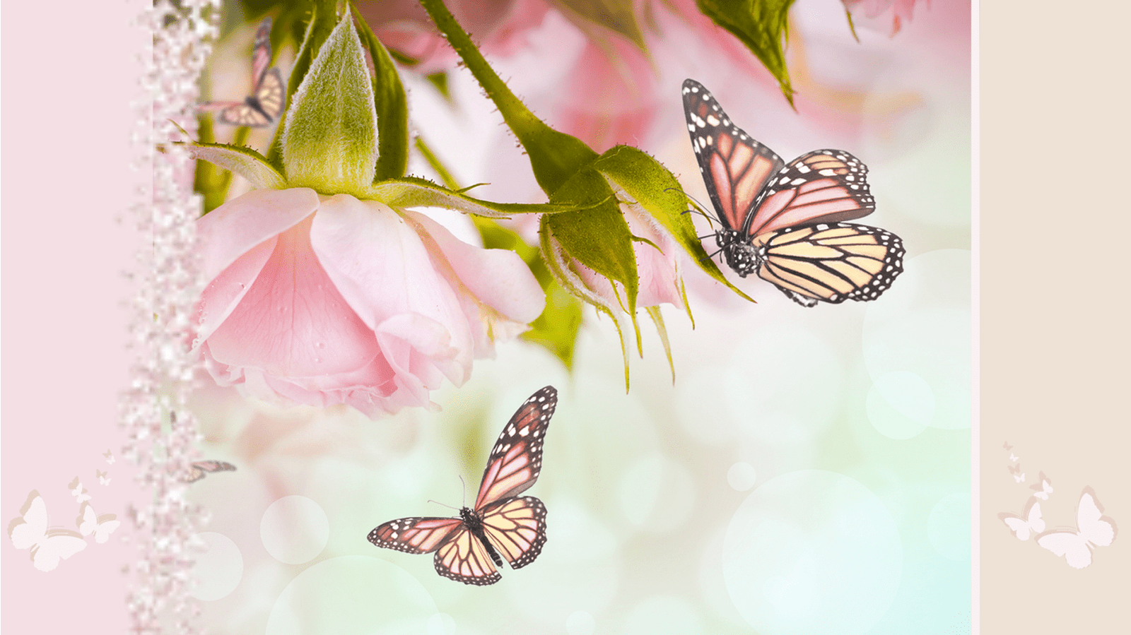 Beauty Mindset Huidverjonging, Huidverjonging, Acne, Roscea, Schoonheidssalon, Schoonheidsspecialist, Huidspecialist, Elim Instituut, Alblasserdam, Rotterdam. Dermapen, Microdermabraise, Mukti Organics, Image Skincare
